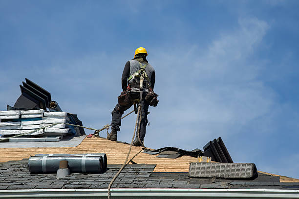 Professional Roof Replacement technician working in Maybee, MI